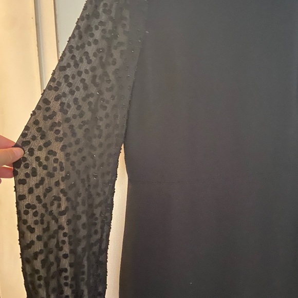 Ann Taylor - Black Dress - sheer sleeves - Picture 2 of 2